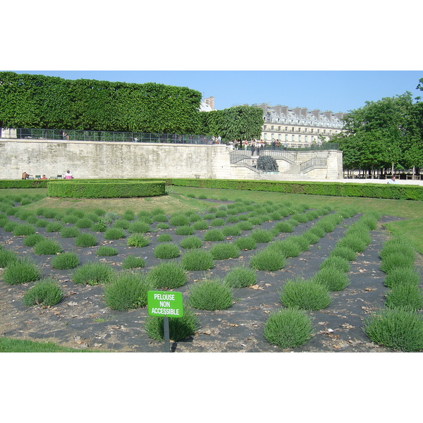 Picture France Paris Garden of Tuileries 2007-05 97 - Discovery Garden of Tuileries