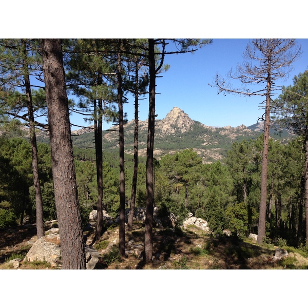 Picture France Corsica L'ospedale Forest 2012-09 32 - Center L'ospedale Forest