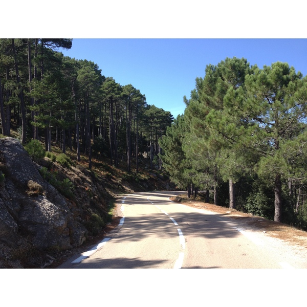 Picture France Corsica L'ospedale Forest 2012-09 10 - Discovery L'ospedale Forest