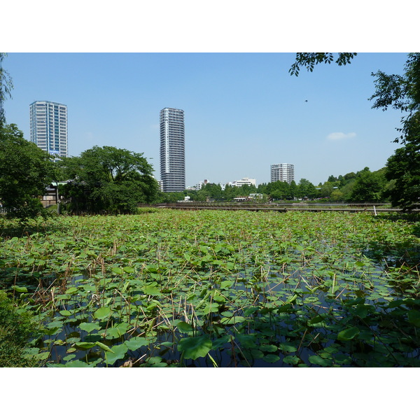 Picture Japan Tokyo Ueno 2010-06 11 - Tour Ueno