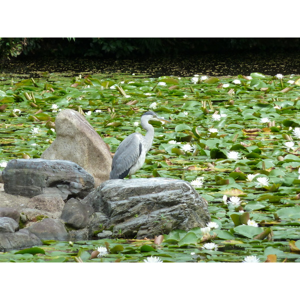 Picture Japan Kyoto Shosei en Garden 2010-06 40 - Center Shosei en Garden