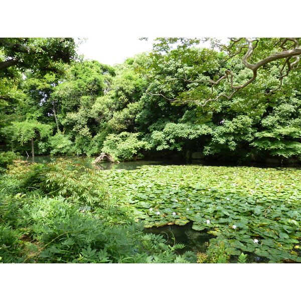 Picture Japan Kyoto Shosei en Garden 2010-06 46 - Tour Shosei en Garden