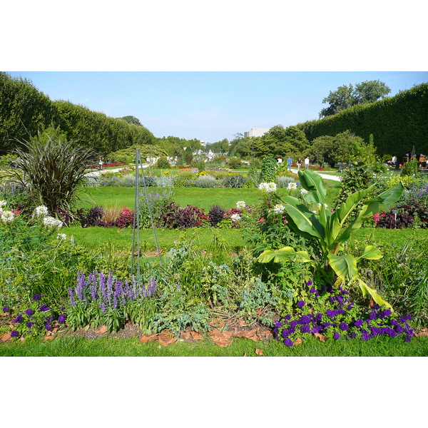 Picture France Paris Jardin des Plantes 2007-08 227 - Center Jardin des Plantes