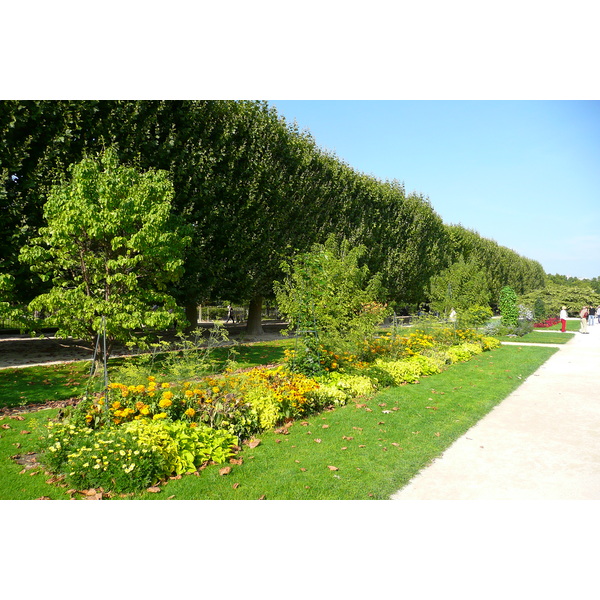 Picture France Paris Jardin des Plantes 2007-08 208 - Discovery Jardin des Plantes