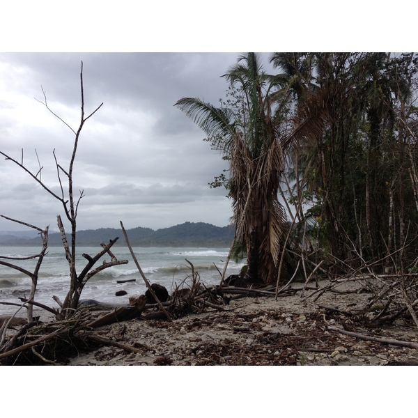 Picture Costa Rica Cahuita 2015-03 204 - Tours Cahuita