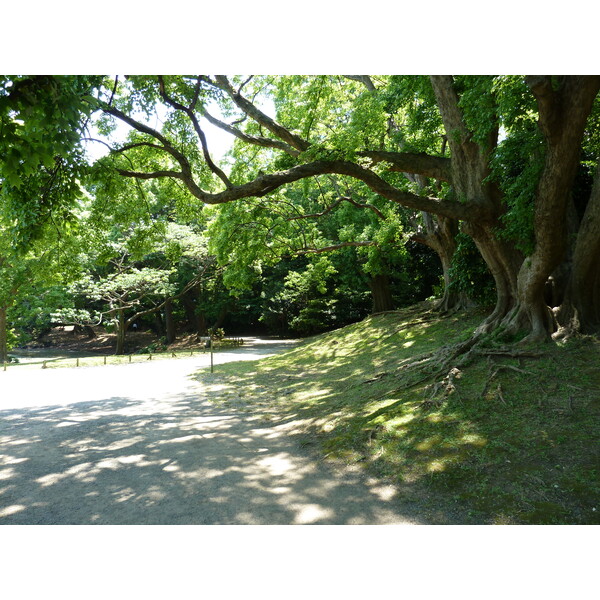 Picture Japan Tokyo Hama rikyu Gardens 2010-06 31 - Journey Hama rikyu Gardens