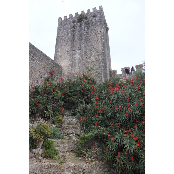 Picture Portugal Obidos 2013-01 28 - Tours Obidos