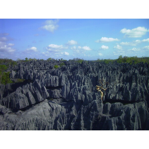 Picture Madagascar Tsingy 1999-10 23 - Around Tsingy