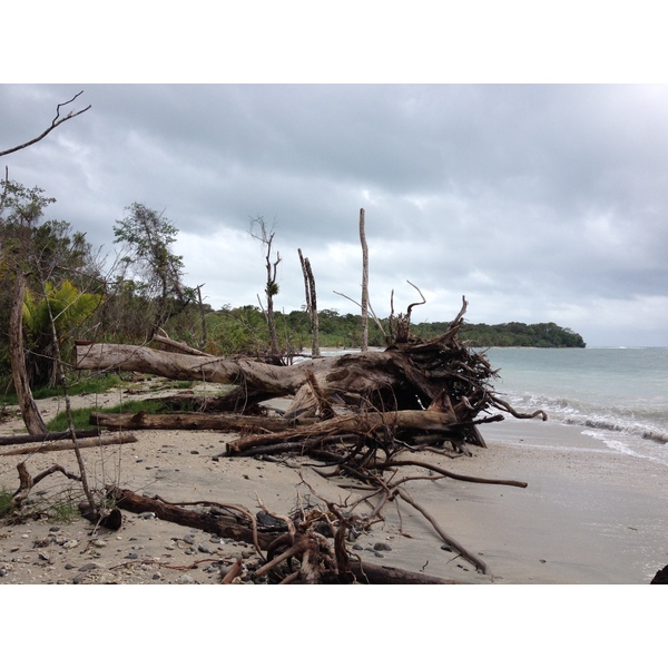 Picture Costa Rica Cahuita 2015-03 10 - Discovery Cahuita