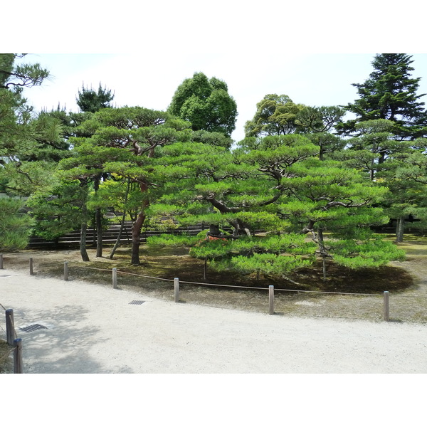 Picture Japan Kyoto Nijo Castle Honmaru Palace 2010-06 16 - Tour Honmaru Palace