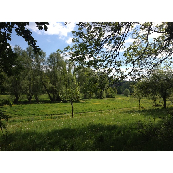 Picture France Lyons La Forêt 2014-05 76 - Center Lyons La Forêt