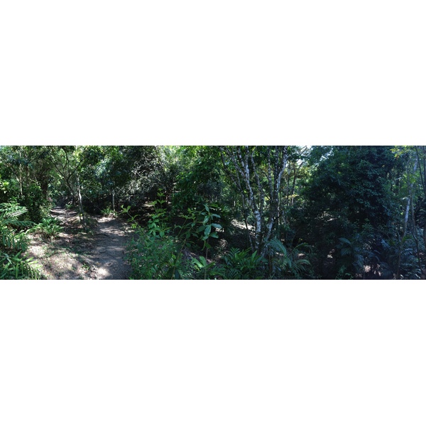 Picture Costa Rica Manuel Antonio 2015-03 133 - Tours Manuel Antonio