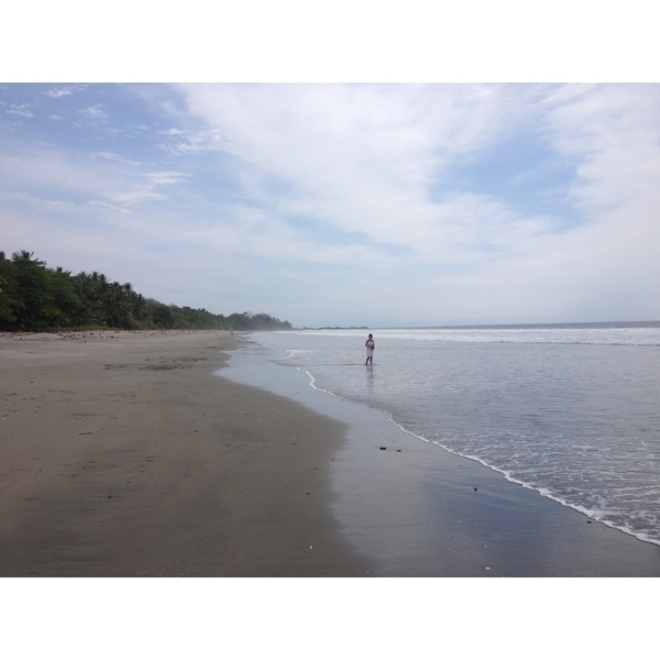 Picture Costa Rica Montezuma 2015-03 235 - Tours Montezuma