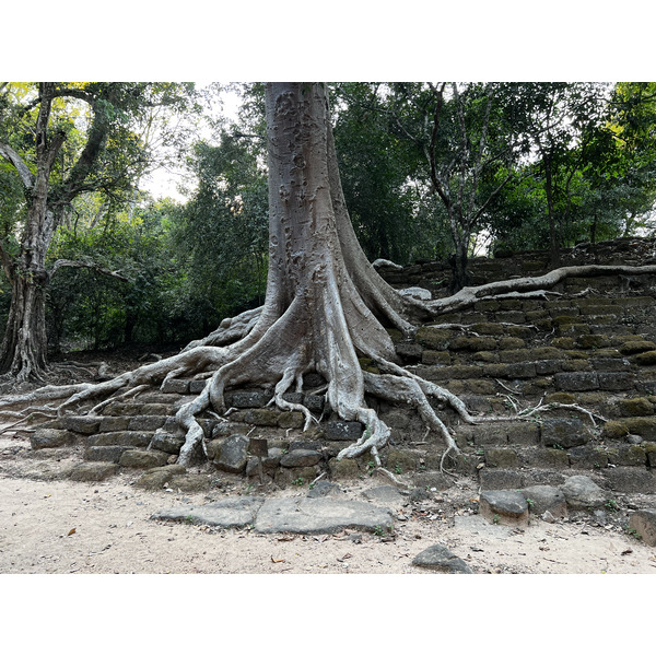 Picture Cambodia Siem Reap Angkor Thom 2023-01 19 - Tour Angkor Thom