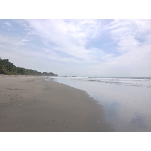 Picture Costa Rica Montezuma 2015-03 271 - Discovery Montezuma