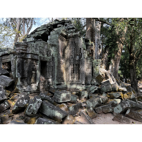 Picture Cambodia Siem Reap Ta Prohm 2023-01 69 - Tour Ta Prohm