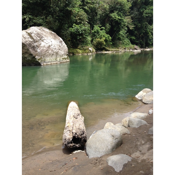 Picture Costa Rica Pacuare River 2015-03 255 - Around Pacuare River