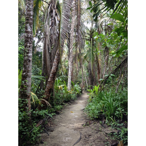 Picture Costa Rica Cahuita 2015-03 8 - Tour Cahuita