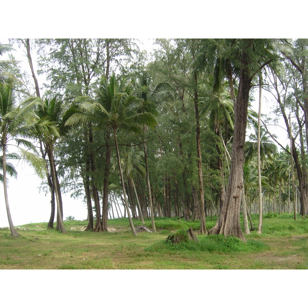 Picture Thailand Khao Lak Bang Sak Beach 2005-12 40 - History Bang Sak Beach