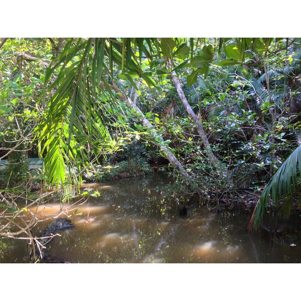 Picture Costa Rica Manuel Antonio 2015-03 57 - History Manuel Antonio