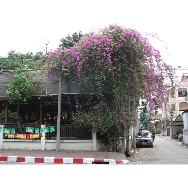 Picture Thailand Chiang Mai Inside Canal Arrak Road(Canal) 2006-04 15 - History Arrak Road(Canal)