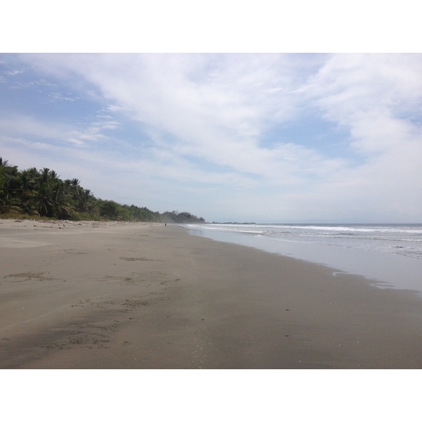 Picture Costa Rica Montezuma 2015-03 325 - Tours Montezuma