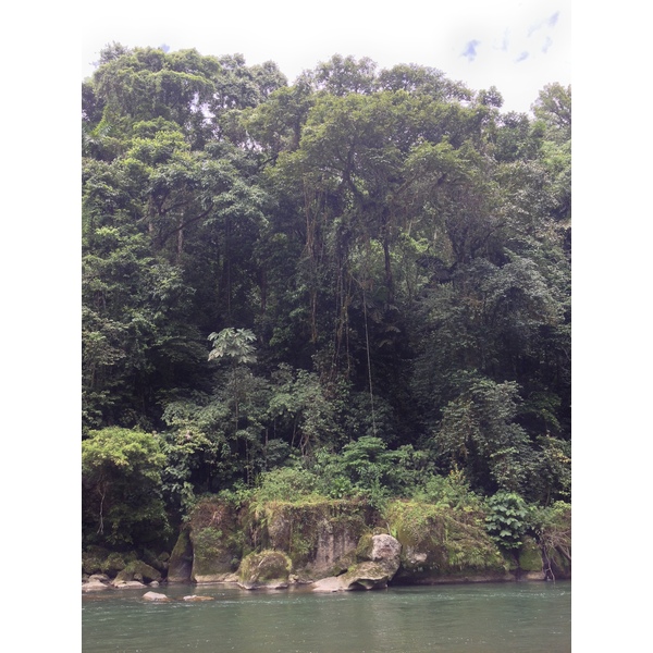 Picture Costa Rica Pacuare River 2015-03 225 - Tours Pacuare River