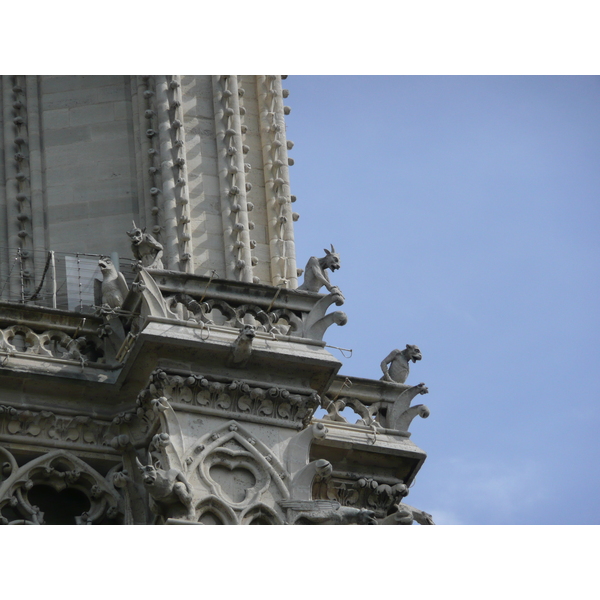 Picture France Paris Notre Dame 2007-05 46 - Journey Notre Dame