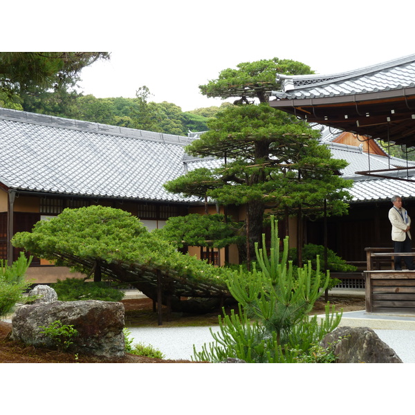 Picture Japan Kyoto Kinkakuji Temple(Golden Pavilion) 2010-06 20 - Journey Kinkakuji Temple(Golden Pavilion)