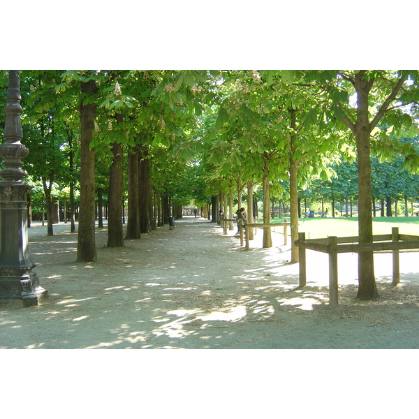 Picture France Paris Garden of Tuileries 2007-05 205 - Around Garden of Tuileries