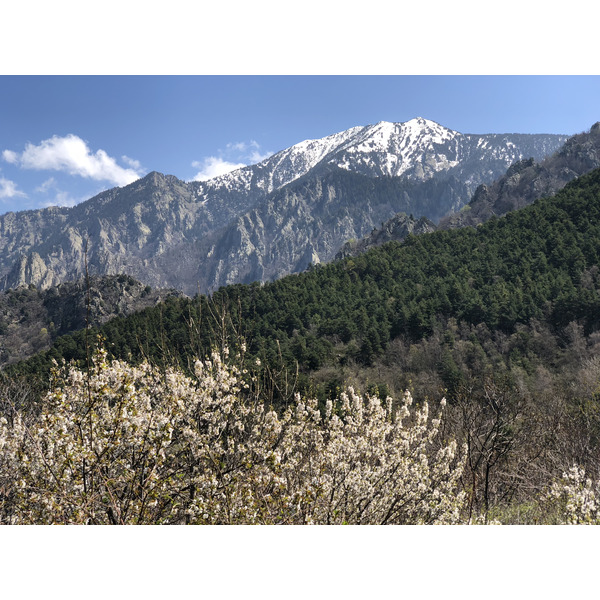 Picture France Abbaye Saint Martin du Canigou 2018-04 192 - Journey Abbaye Saint Martin du Canigou