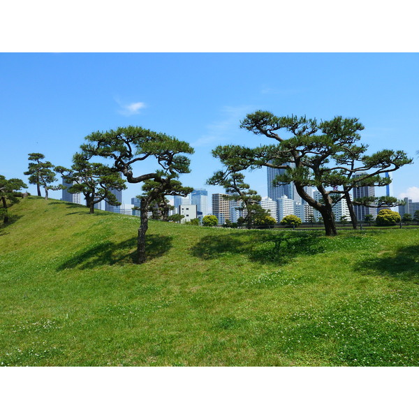 Picture Japan Tokyo Hama rikyu Gardens 2010-06 50 - Discovery Hama rikyu Gardens