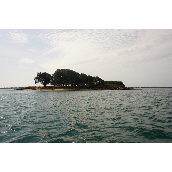 Picture France Golfe du Morbihan 2016-08 50 - Recreation Golfe du Morbihan