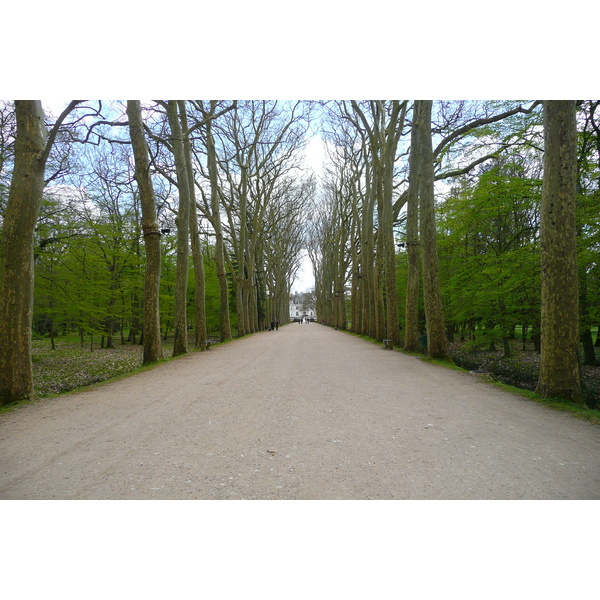 Picture France Chenonceau Castle Gardens of Chenonceau 2008-04 53 - Center Gardens of Chenonceau