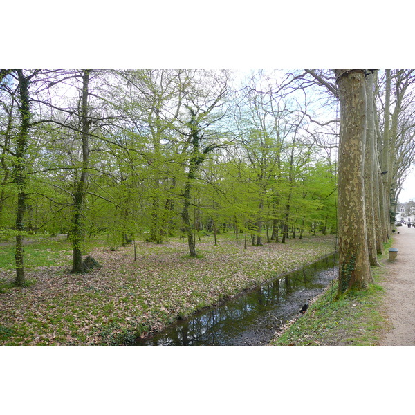 Picture France Chenonceau Castle Gardens of Chenonceau 2008-04 48 - Tour Gardens of Chenonceau