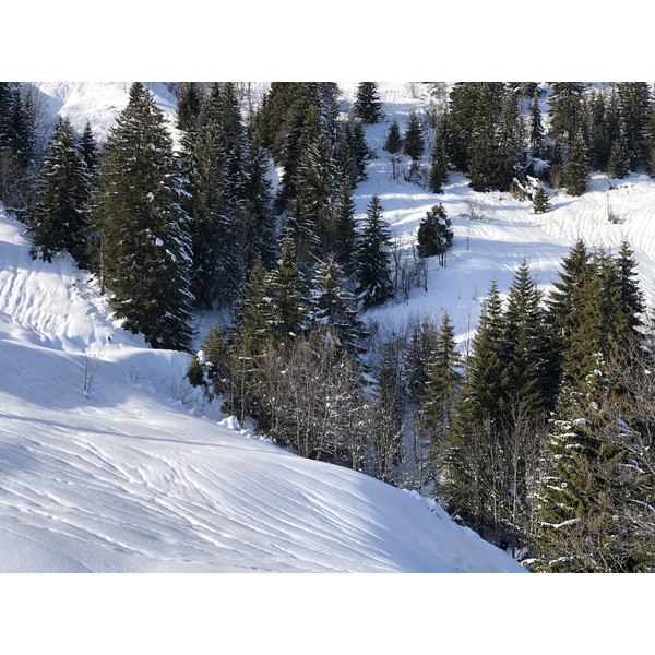 Picture France Praz sur Arly 2019-12 122 - Tours Praz sur Arly