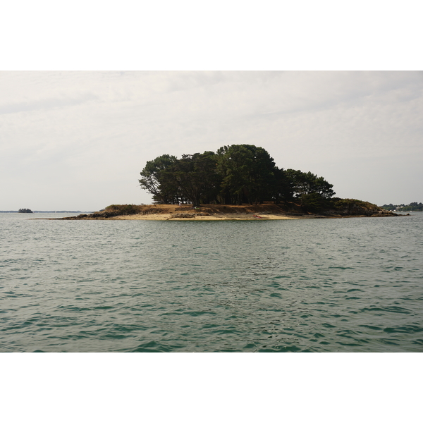 Picture France Golfe du Morbihan 2016-08 62 - Center Golfe du Morbihan