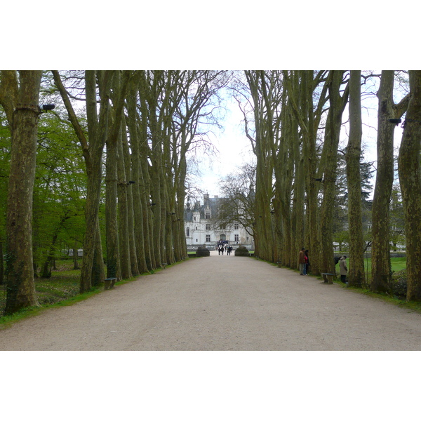 Picture France Chenonceau Castle Gardens of Chenonceau 2008-04 37 - Tour Gardens of Chenonceau