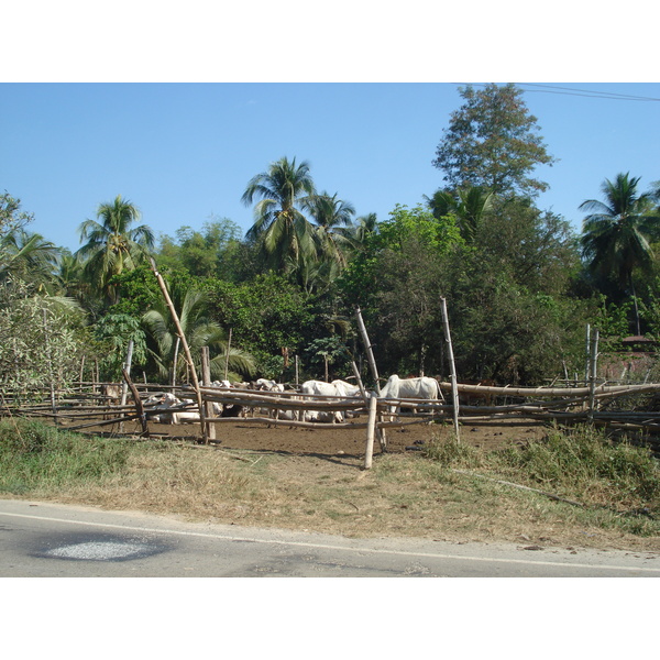 Picture Thailand Phitsanulok 2008-01 34 - Around Phitsanulok