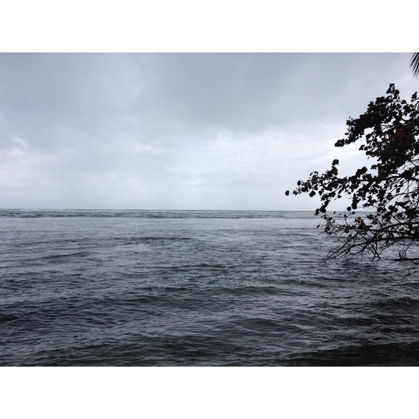 Picture Costa Rica Cahuita 2015-03 26 - Tours Cahuita