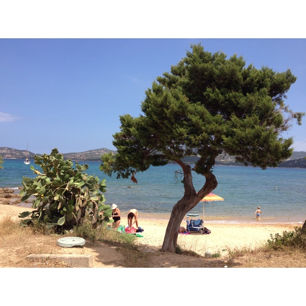 Picture Italy Sardinia Costa Smeralda 2015-06 17 - Journey Costa Smeralda