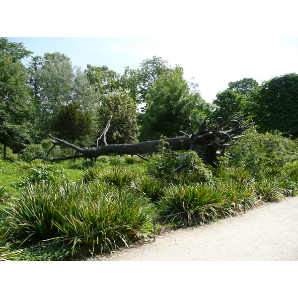 Picture France Paris Garden of Tuileries 2007-05 260 - Discovery Garden of Tuileries