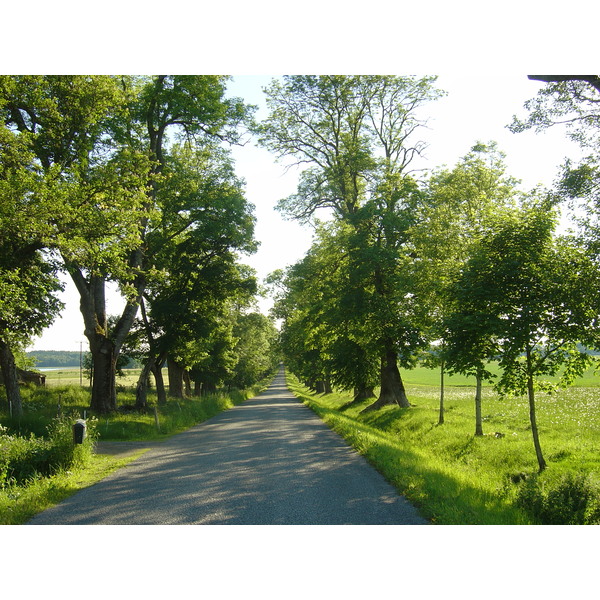 Picture Sweden Sigtuna to Uppsala road 2005-06 10 - Center Sigtuna to Uppsala road