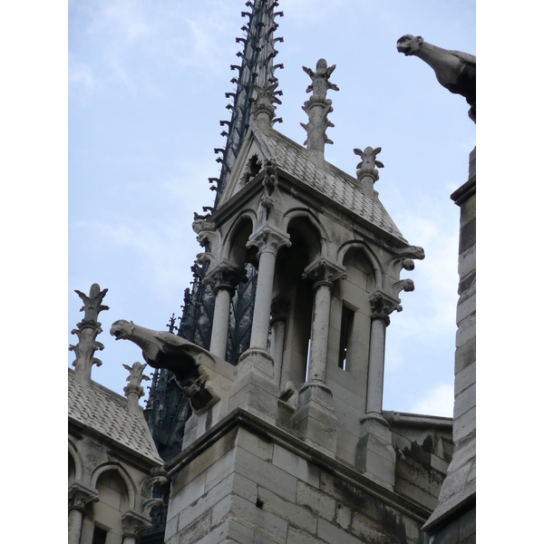 Picture France Paris Notre Dame 2007-05 208 - Tour Notre Dame