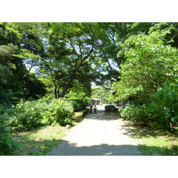 Picture Japan Tokyo Hama rikyu Gardens 2010-06 28 - Center Hama rikyu Gardens