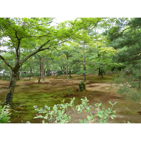 Picture Japan Kyoto Kinkakuji Temple(Golden Pavilion) 2010-06 9 - Around Kinkakuji Temple(Golden Pavilion)