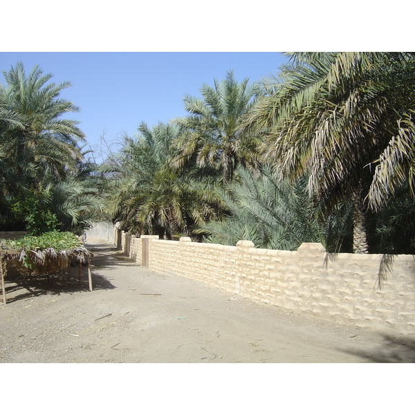 Picture United Arab Emirates Al Ain Al Ain Oasis 2005-03 25 - Recreation Al Ain Oasis