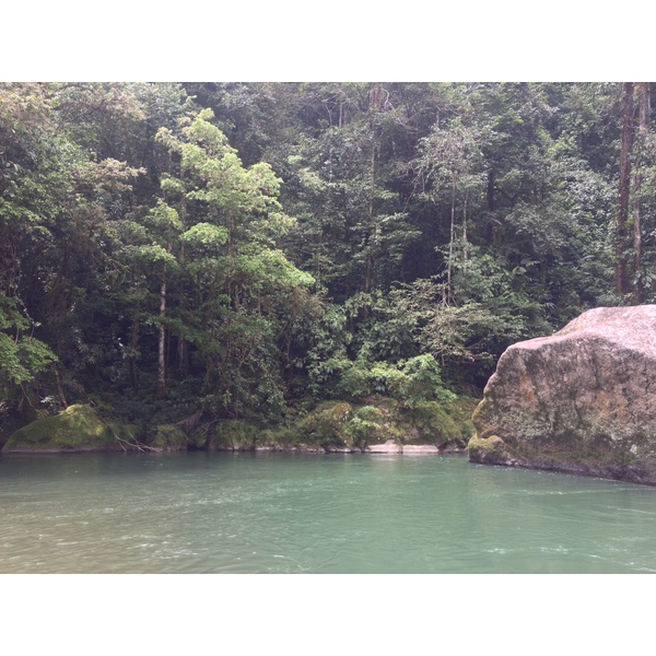 Picture Costa Rica Pacuare River 2015-03 197 - Journey Pacuare River