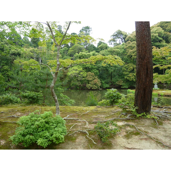 Picture Japan Kyoto Kinkakuji Temple(Golden Pavilion) 2010-06 42 - Tour Kinkakuji Temple(Golden Pavilion)