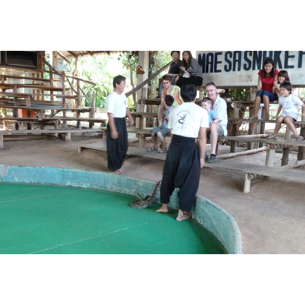 Picture Thailand Chiang Mai Mae Sa Snake Farm 2010-12 88 - Tour Mae Sa Snake Farm